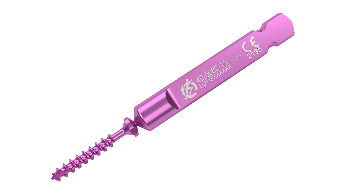 Snap-Off Screw